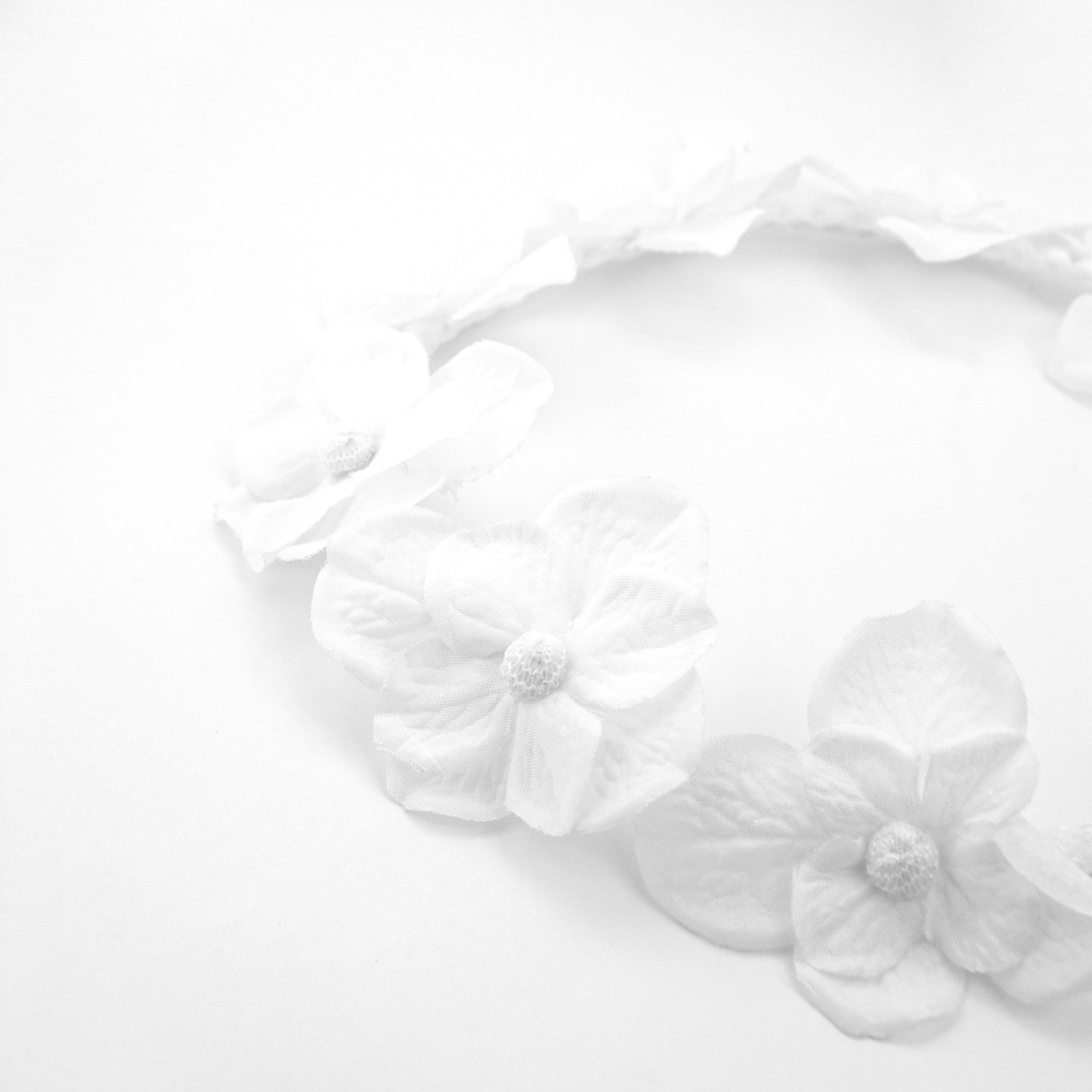 Tiara Hortênsia - Image 2